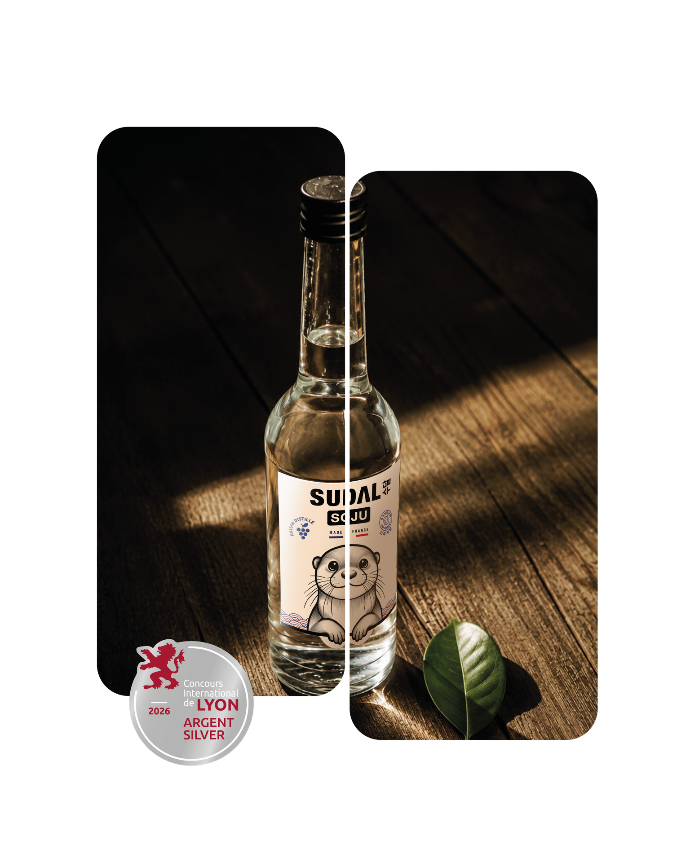 Soju SUDAL Original